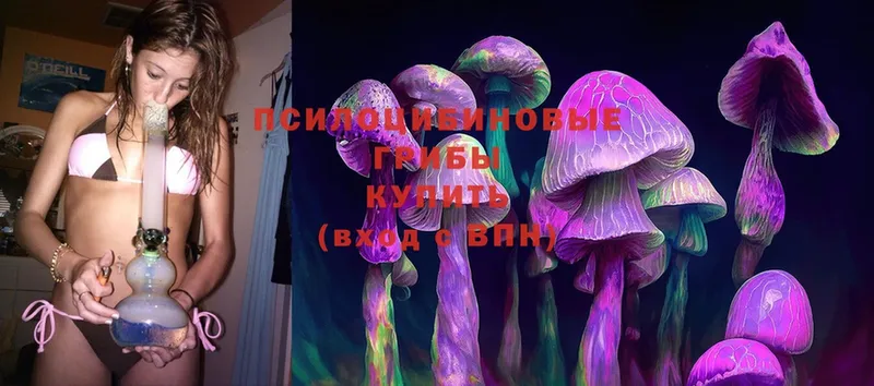 Галлюциногенные грибы MAGIC MUSHROOMS  Болотное 